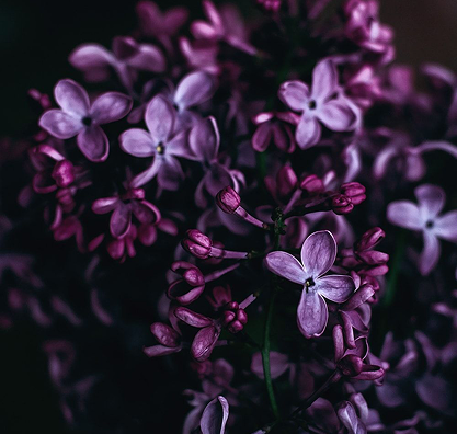 Альт заголовок 2