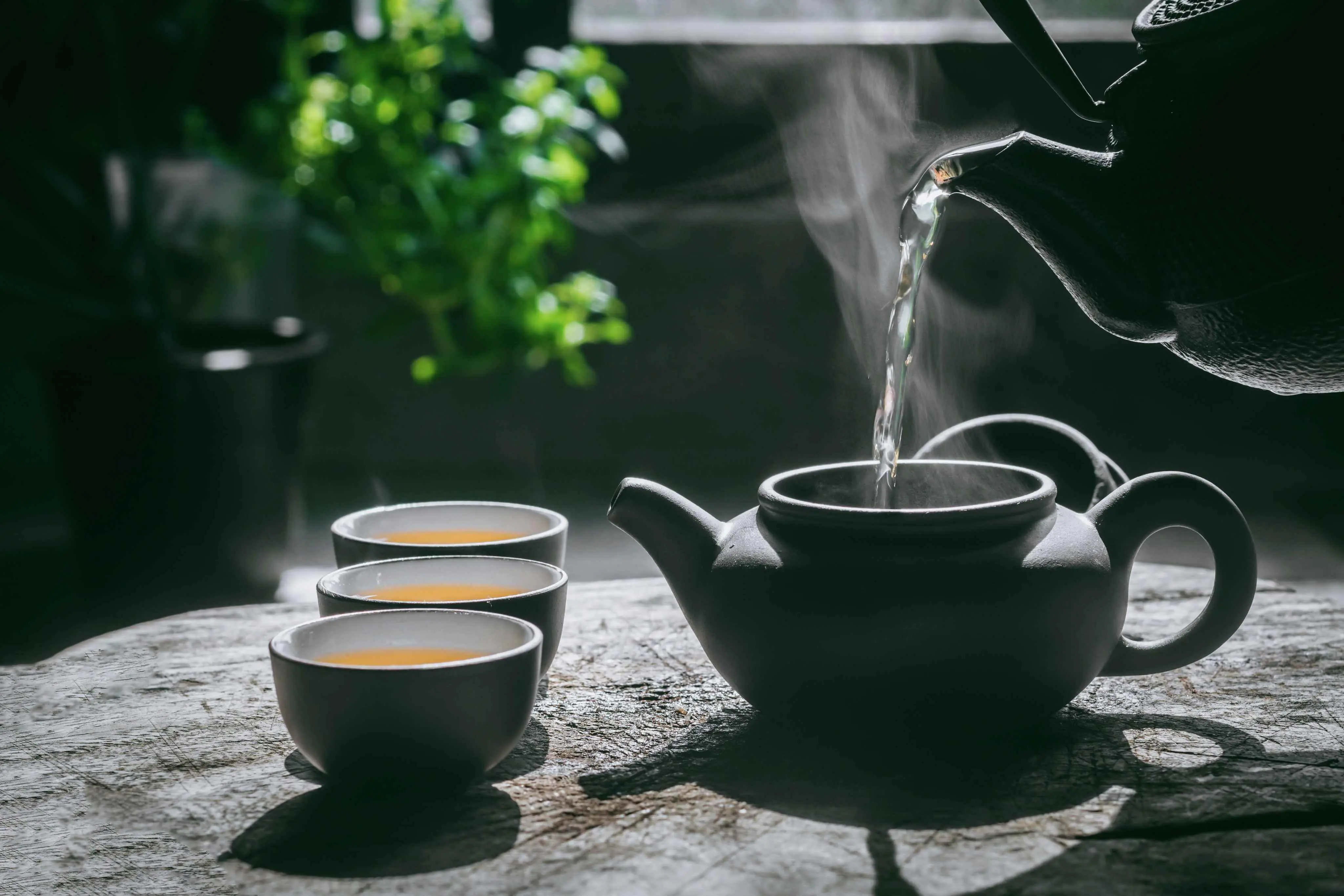 te sencha