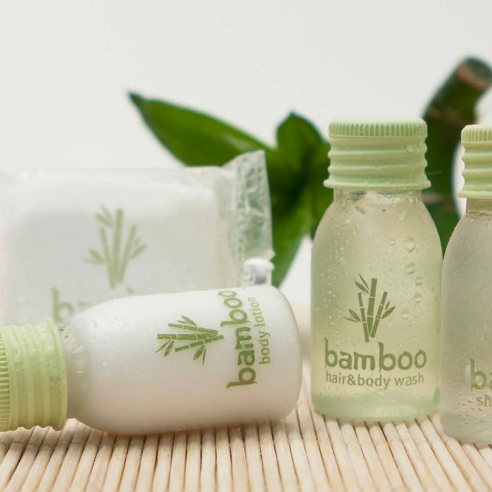 Bamboo